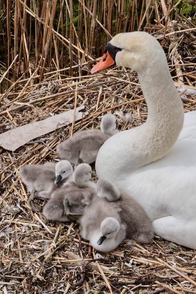 Taken by David Mozzoni in South Kingstown, RI